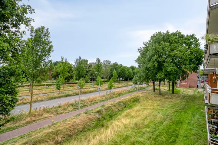 Foto 25 van Predikherenlaan 243