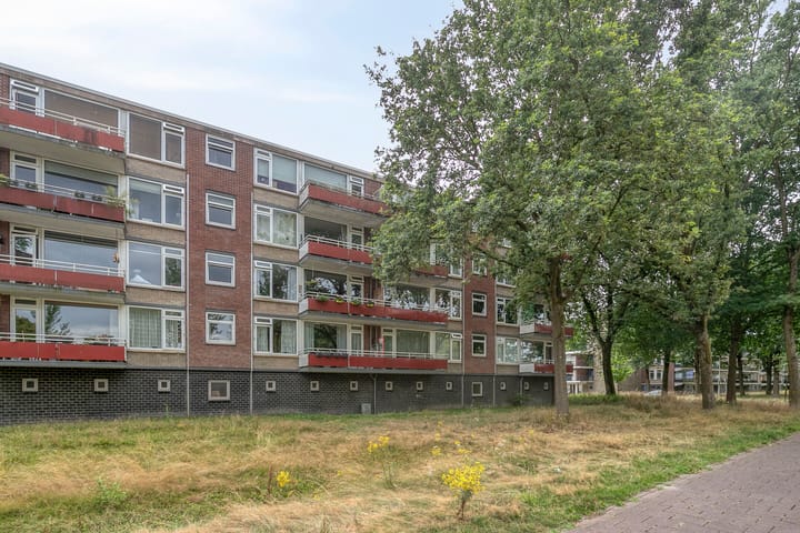 Foto 31 van Predikherenlaan 243