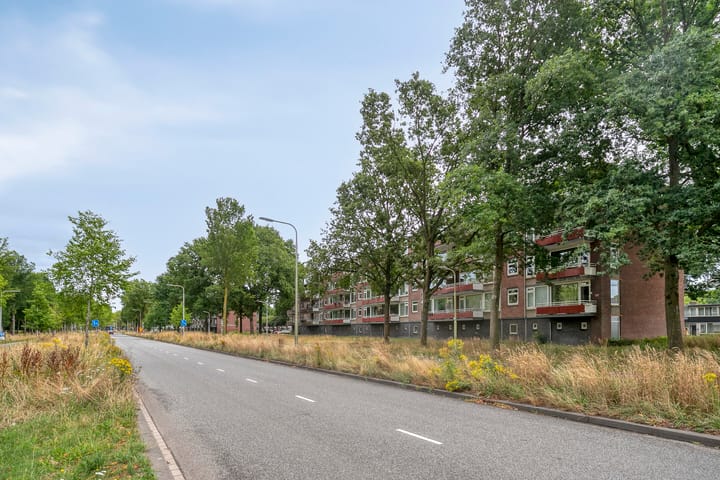 Foto 30 van Predikherenlaan 243