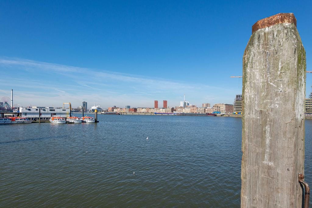 Photo 22 of Zwartewaalstraat 97