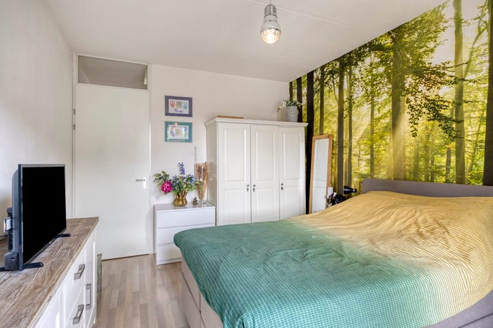 Foto 18 van Erasplaats 90