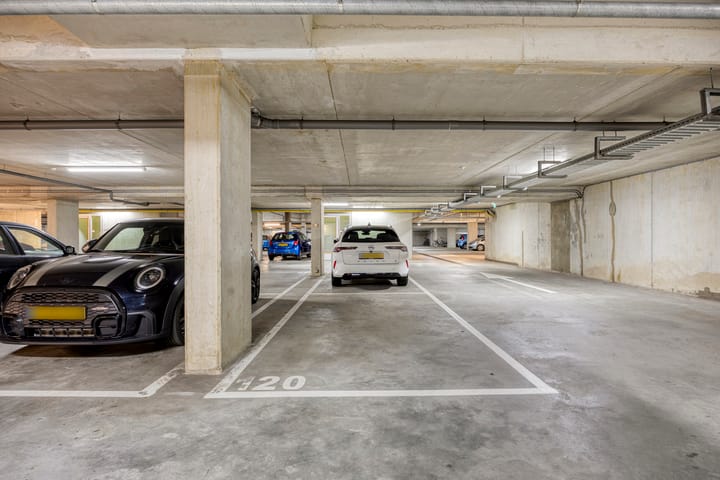 Foto 39 van Erasplaats 90