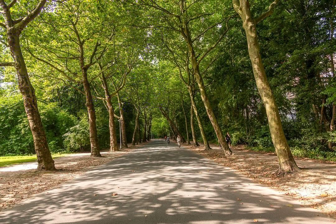 Foto 22 van Eerste Helmersstraat 52-2