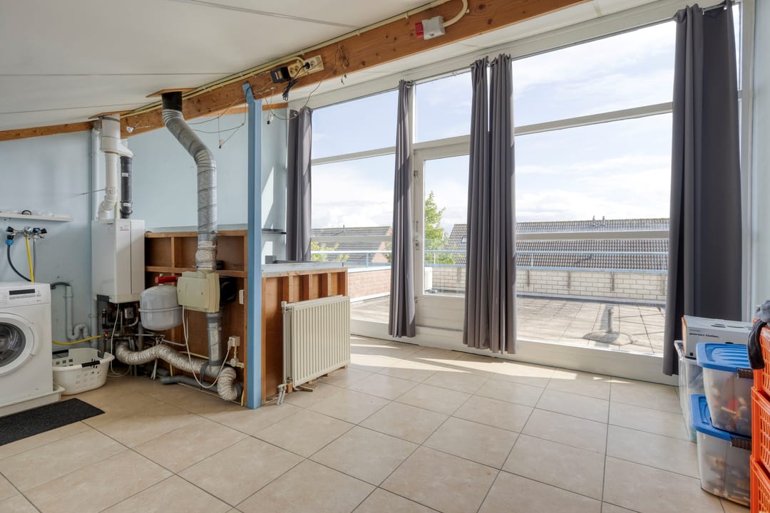 Foto 26 van Kalmoes 26