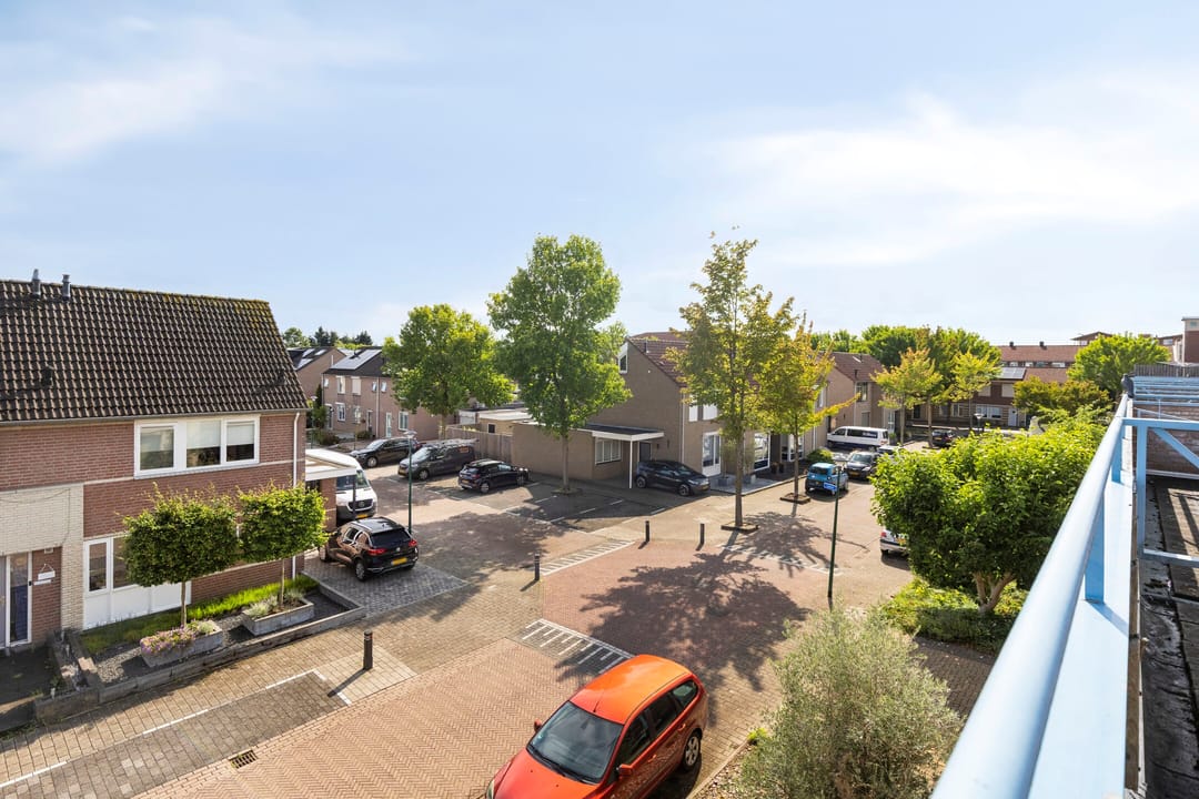 Foto 31 van Kalmoes 26