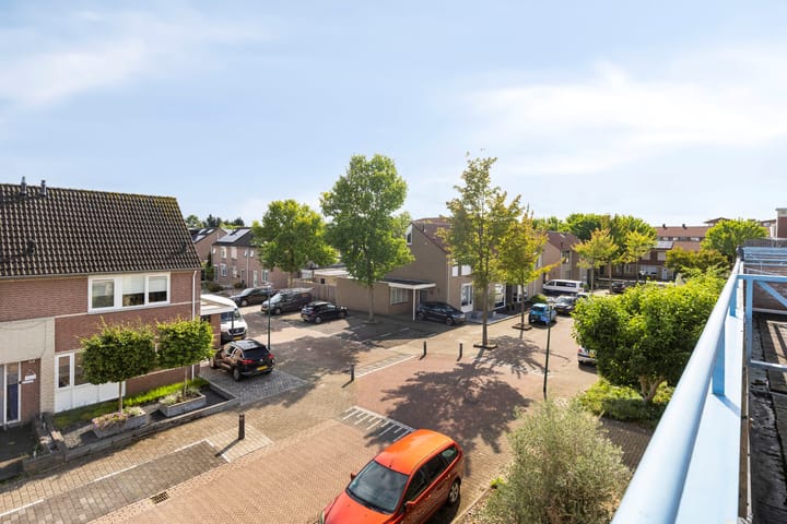 Foto 31 van Kalmoes 26