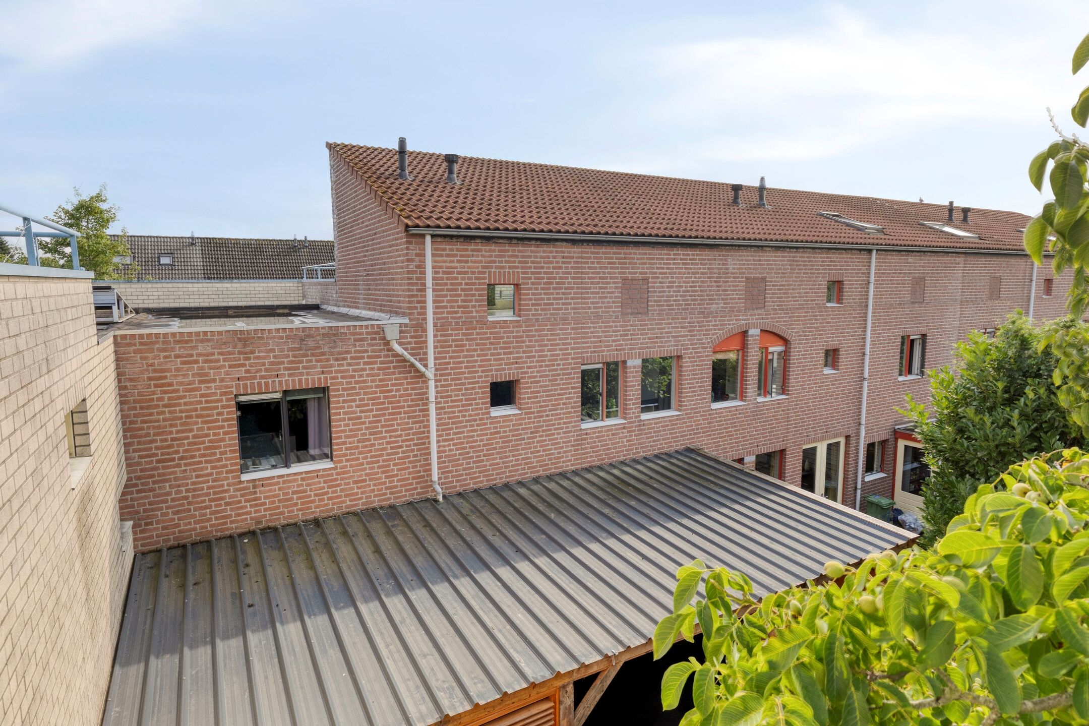 Foto 30 van Kalmoes 26