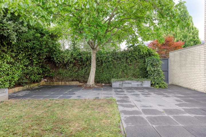 Foto 34 van Kalmoes 26