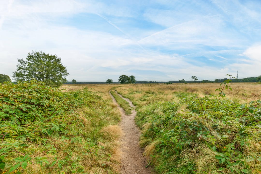 Foto 23 van Anthonie Fokkerstraat 4