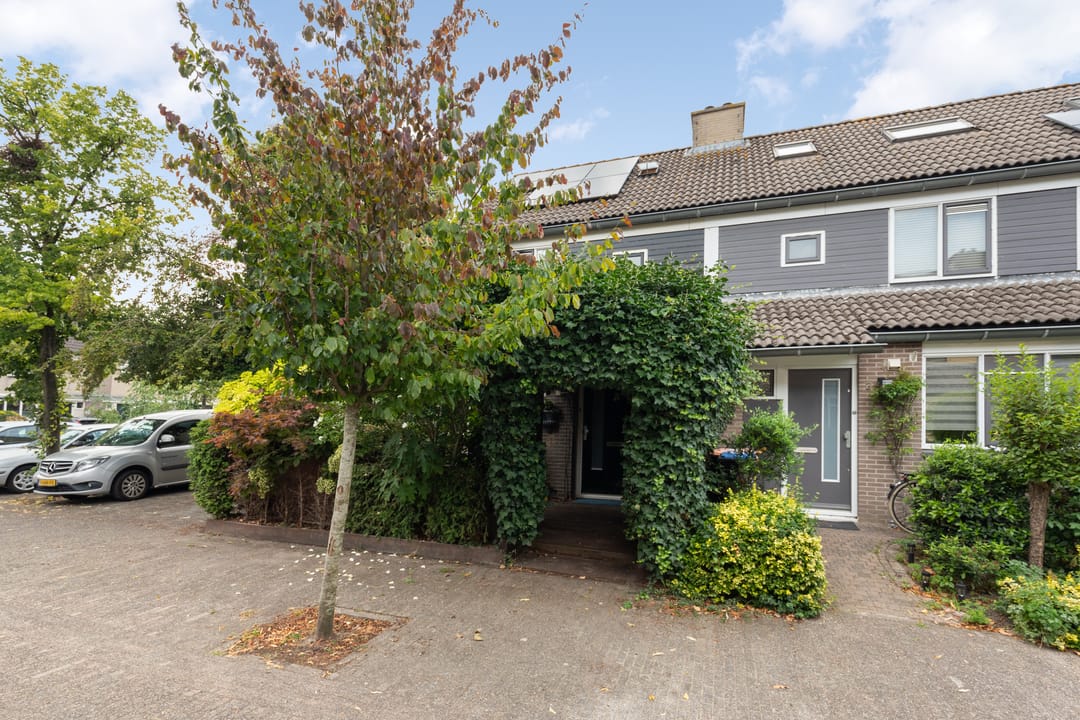 Foto 1 van Falklandstroom 1