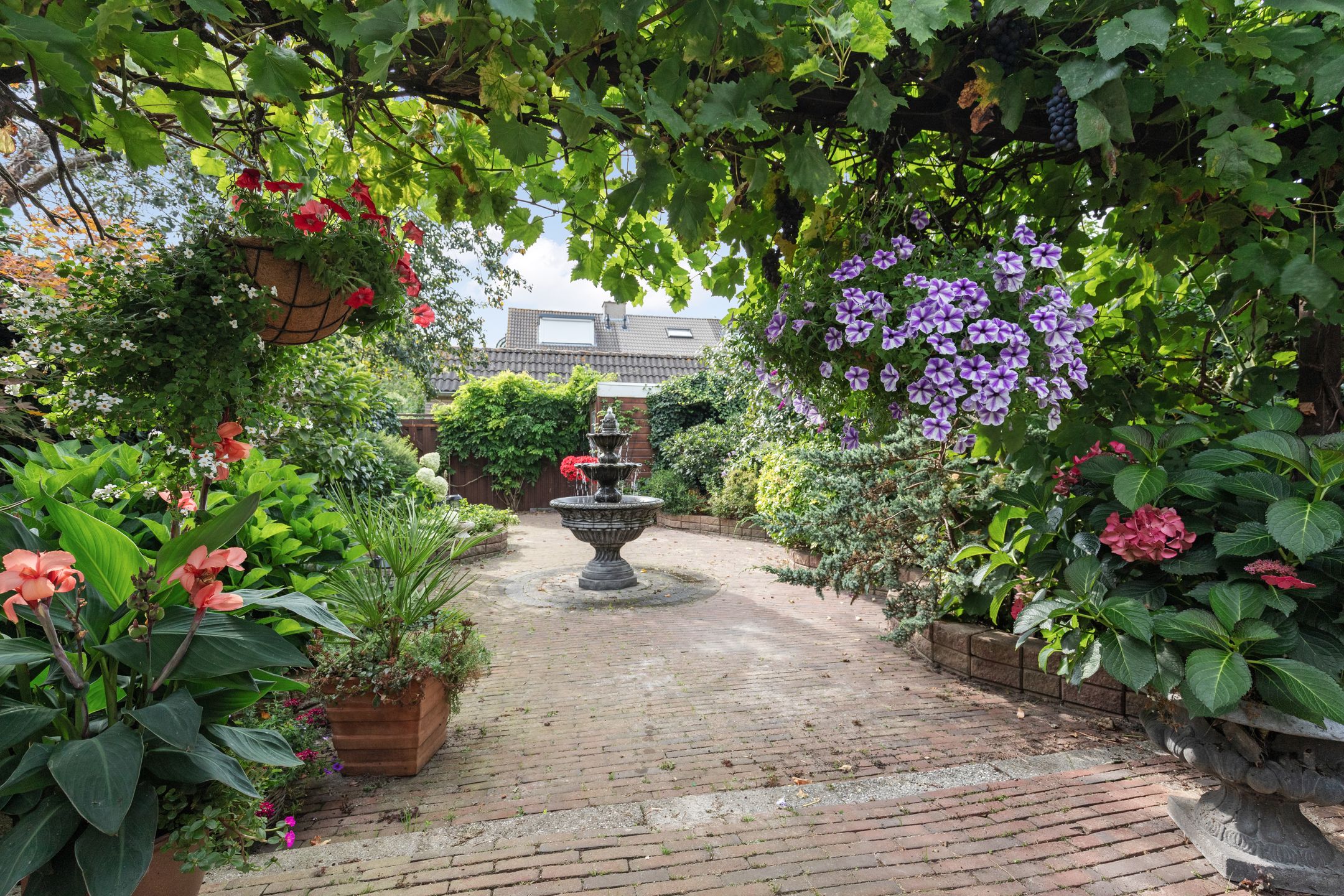 Foto 21 van Falklandstroom 1