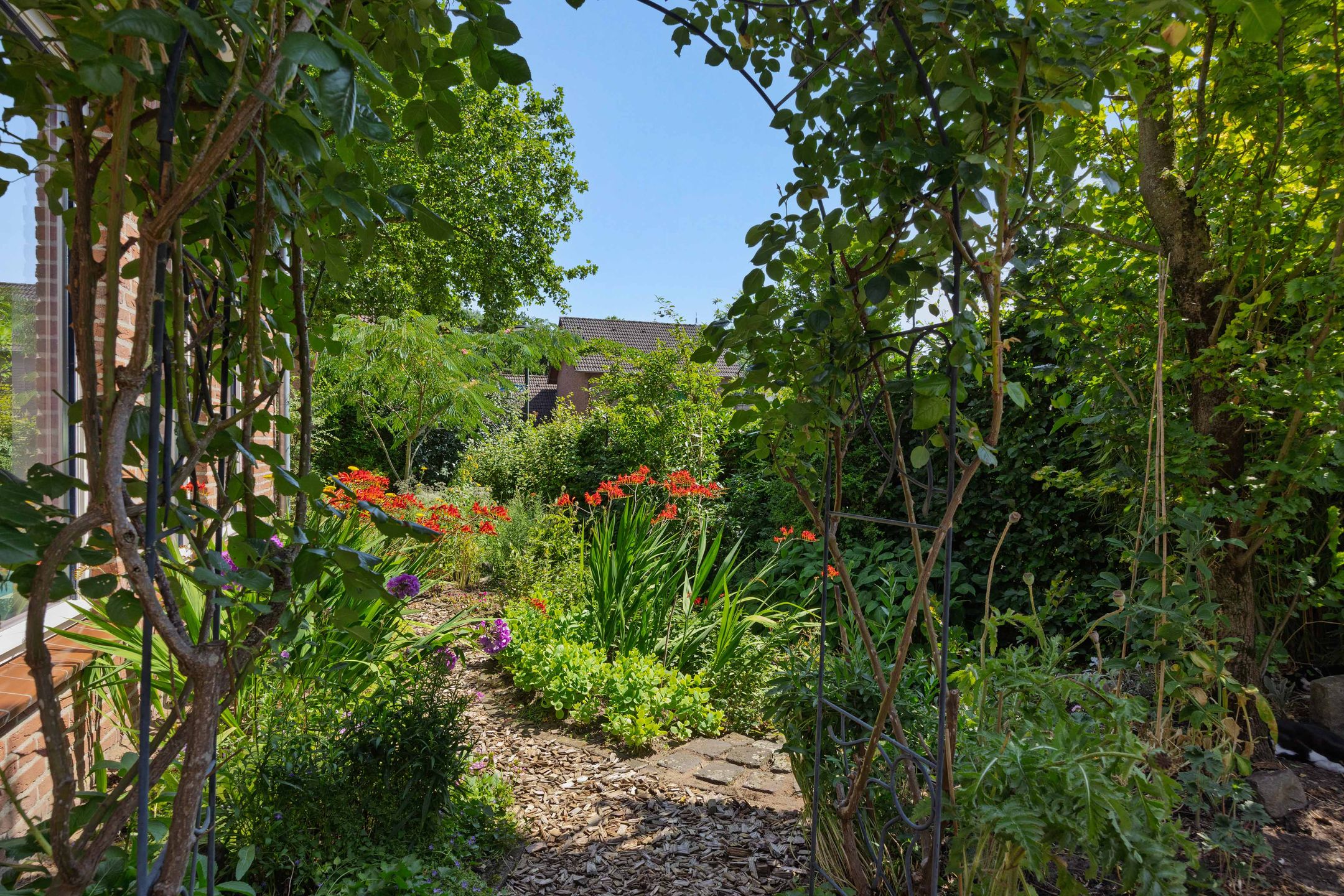 Foto 45 van Pastoor van Ervenstraat 1