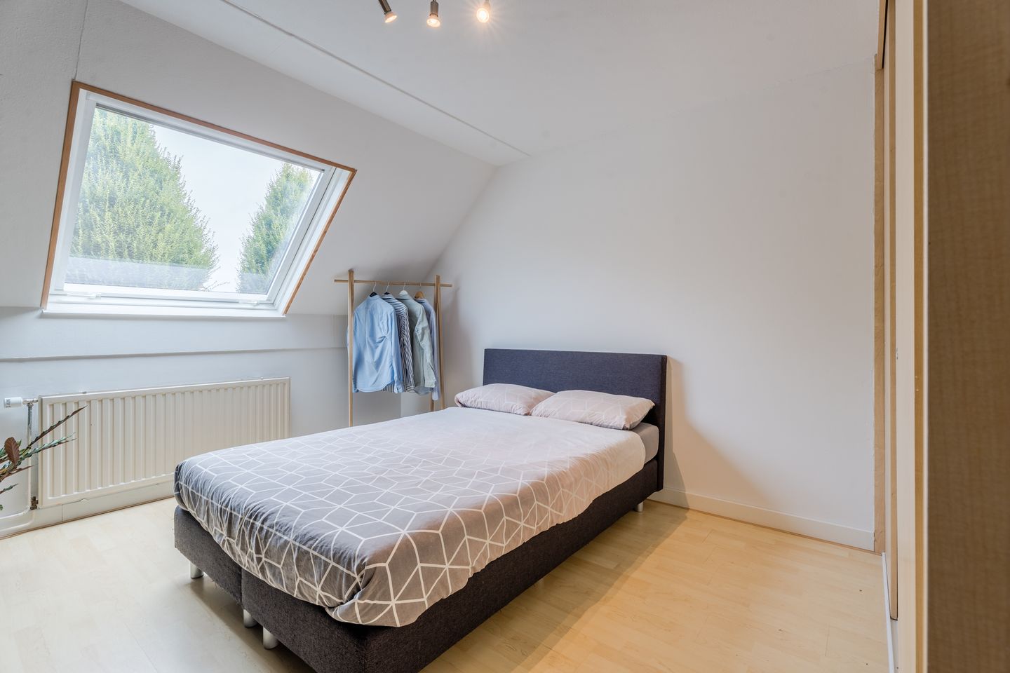 Foto 14 van Kardinaalsmuts 75