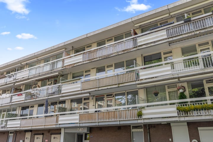 Foto 41 van Zangvogelweg 81