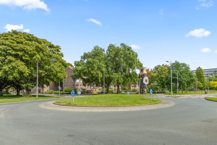 Foto 50 van Zangvogelweg 81