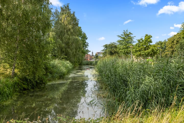 Foto 51 van Zangvogelweg 81