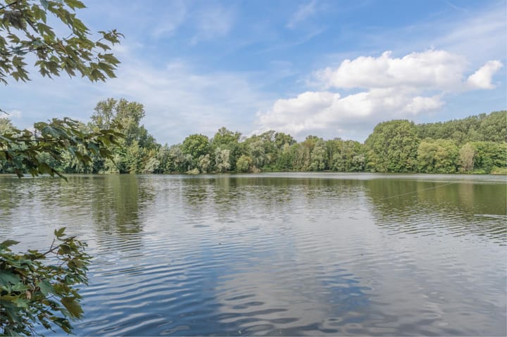 Foto 66 van Wingerd 68