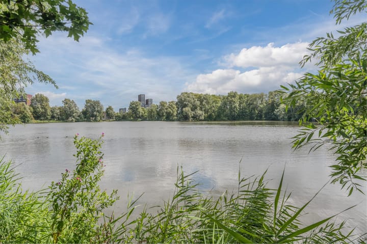 Foto 67 van Wingerd 68