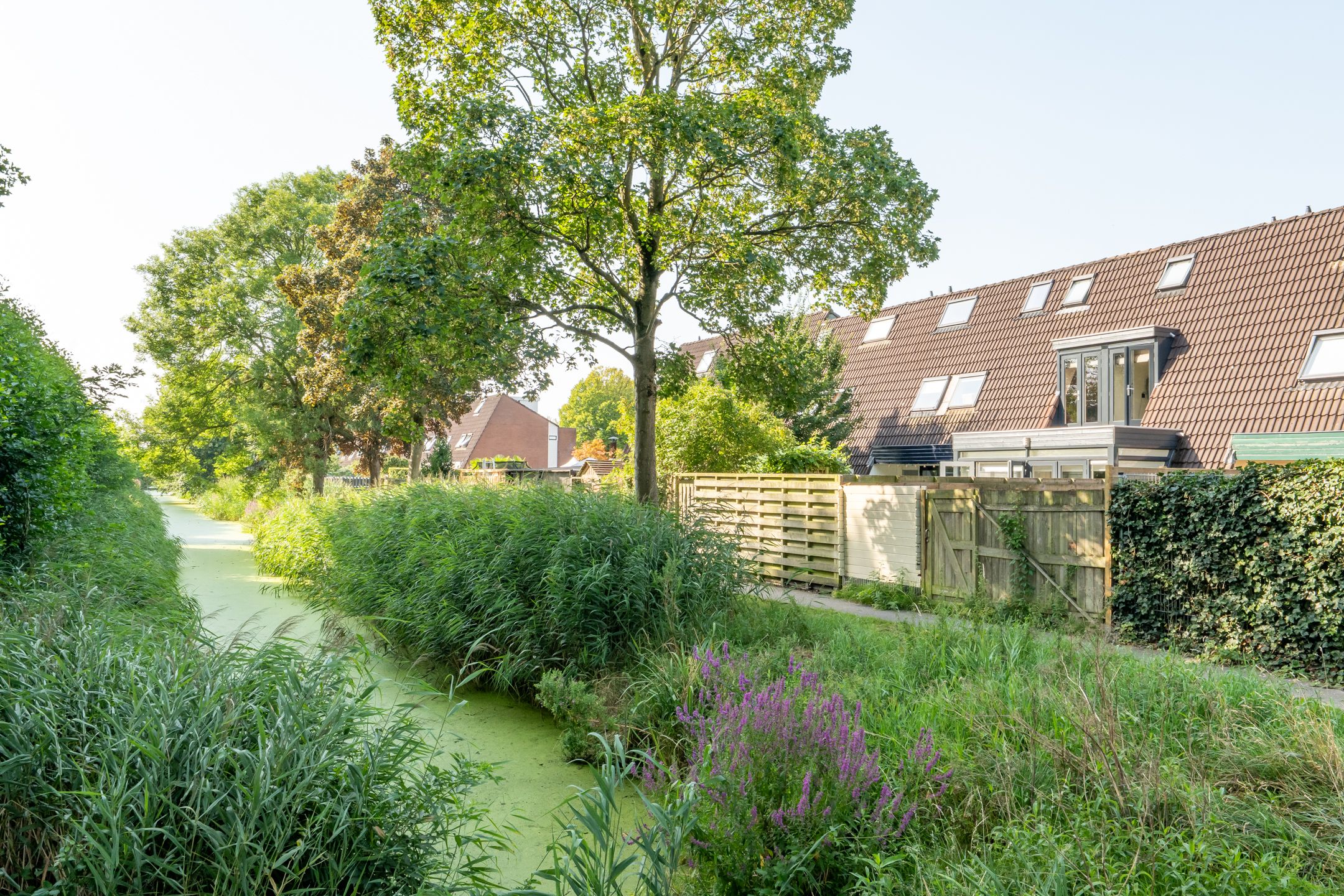 Foto 39 van Tjalk 44