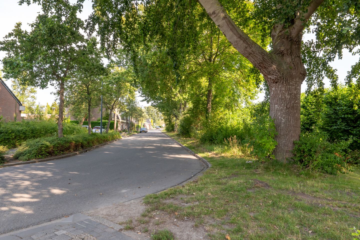 Foto 40 van Tjalk 44