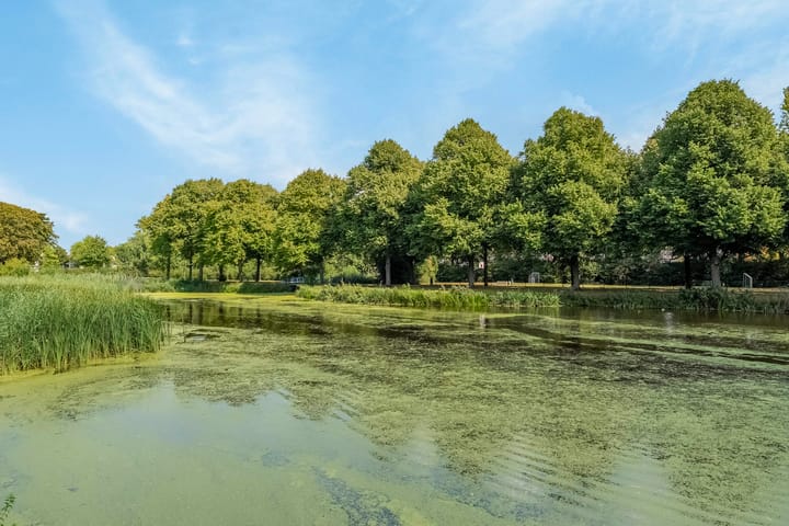 Foto 27 van Vrijheer van Eslaan 253