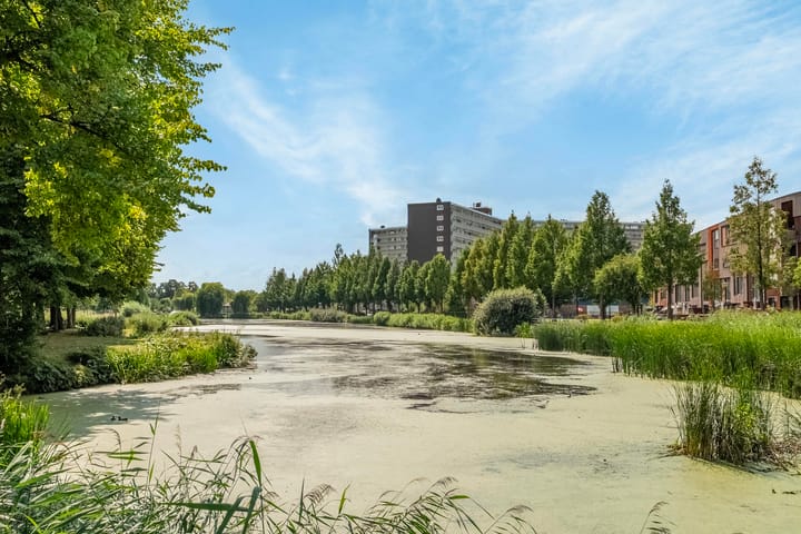 Foto 29 van Vrijheer van Eslaan 253