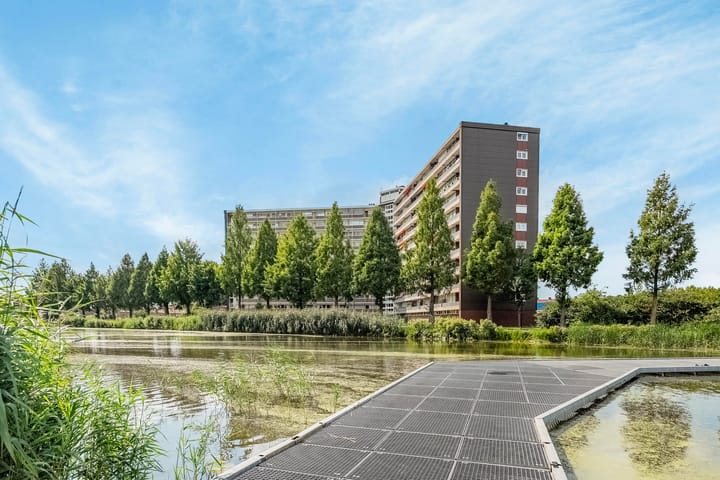 Foto 30 van Vrijheer van Eslaan 253