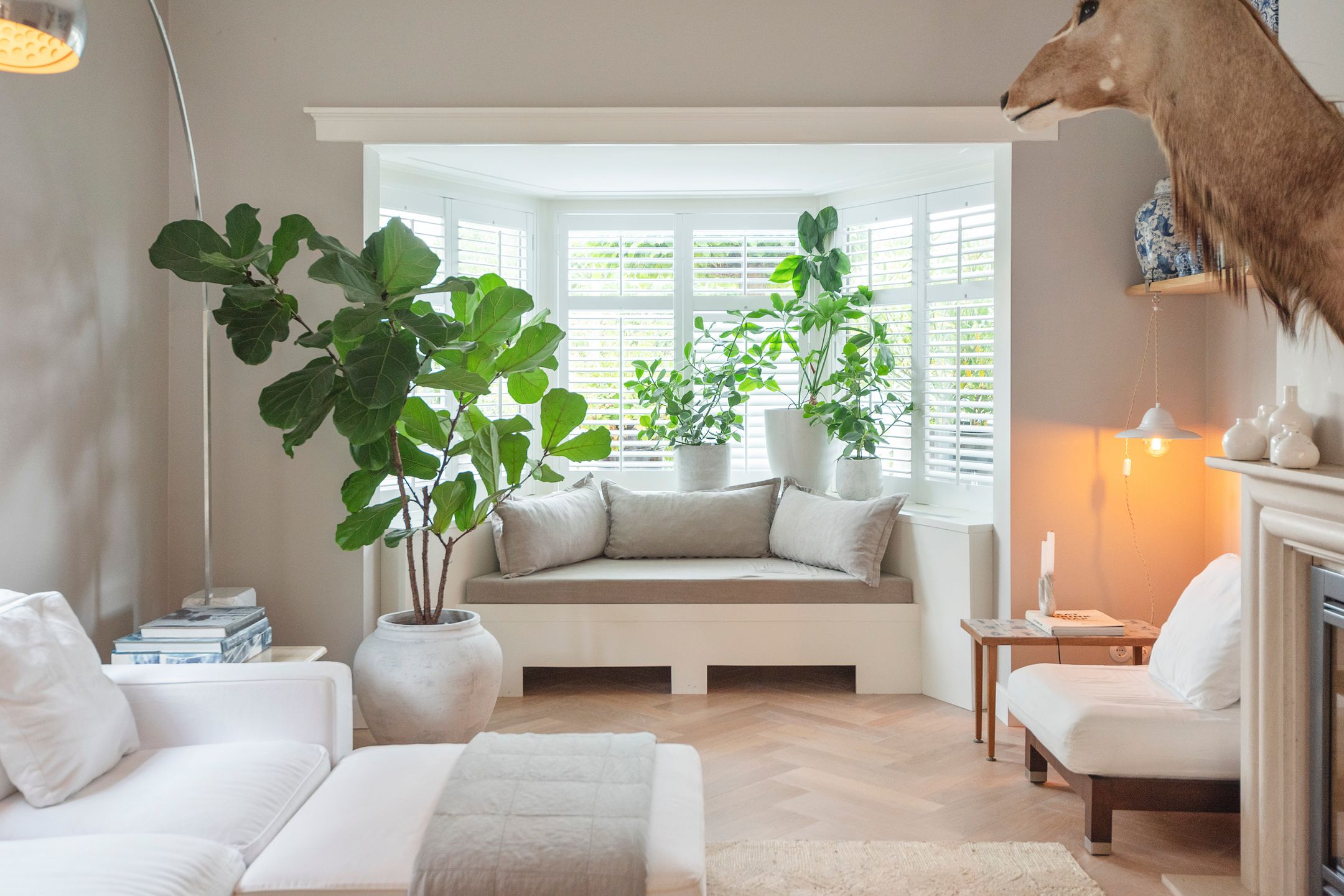 Foto 12 van Zandvoortselaan 177