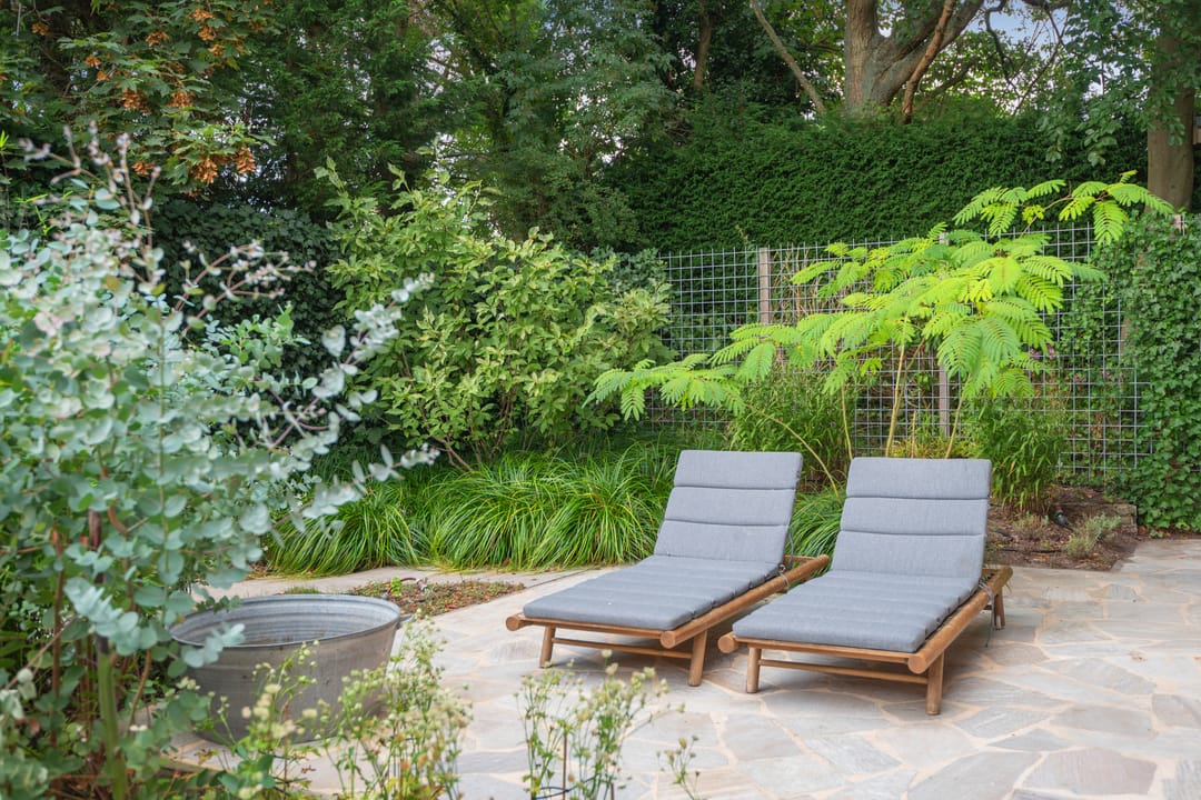 Foto 77 van Zandvoortselaan 177