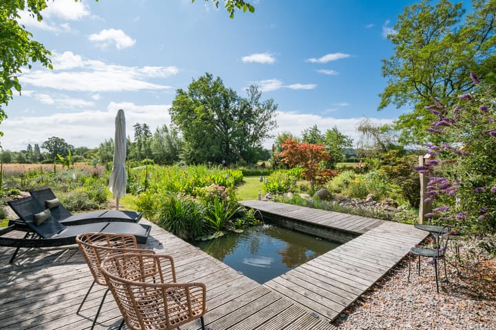 Foto 5 van Rozenpas 4