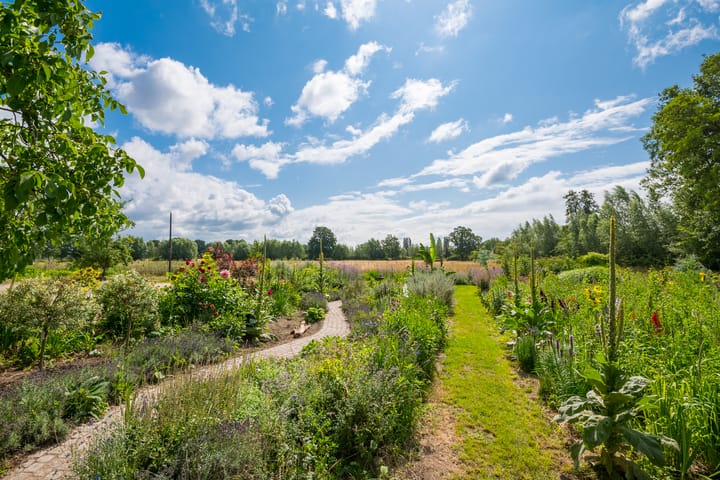 Foto 48 van Rozenpas 4