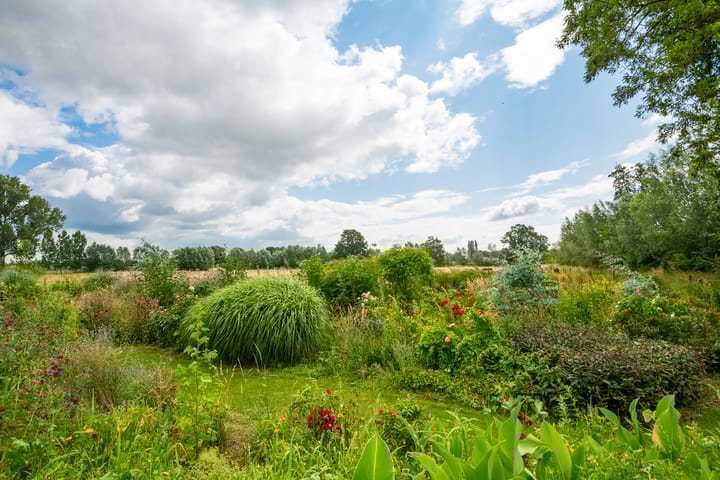 Foto 49 van Rozenpas 4