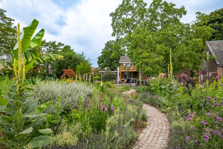 Foto 50 van Rozenpas 4