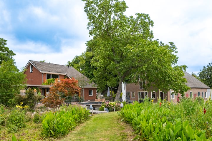 Foto 51 van Rozenpas 4