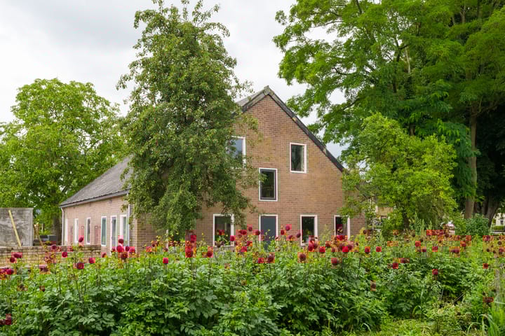 Foto 53 van Rozenpas 4