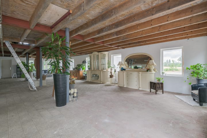 Foto 55 van Rozenpas 4