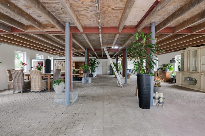 Foto 56 van Rozenpas 4