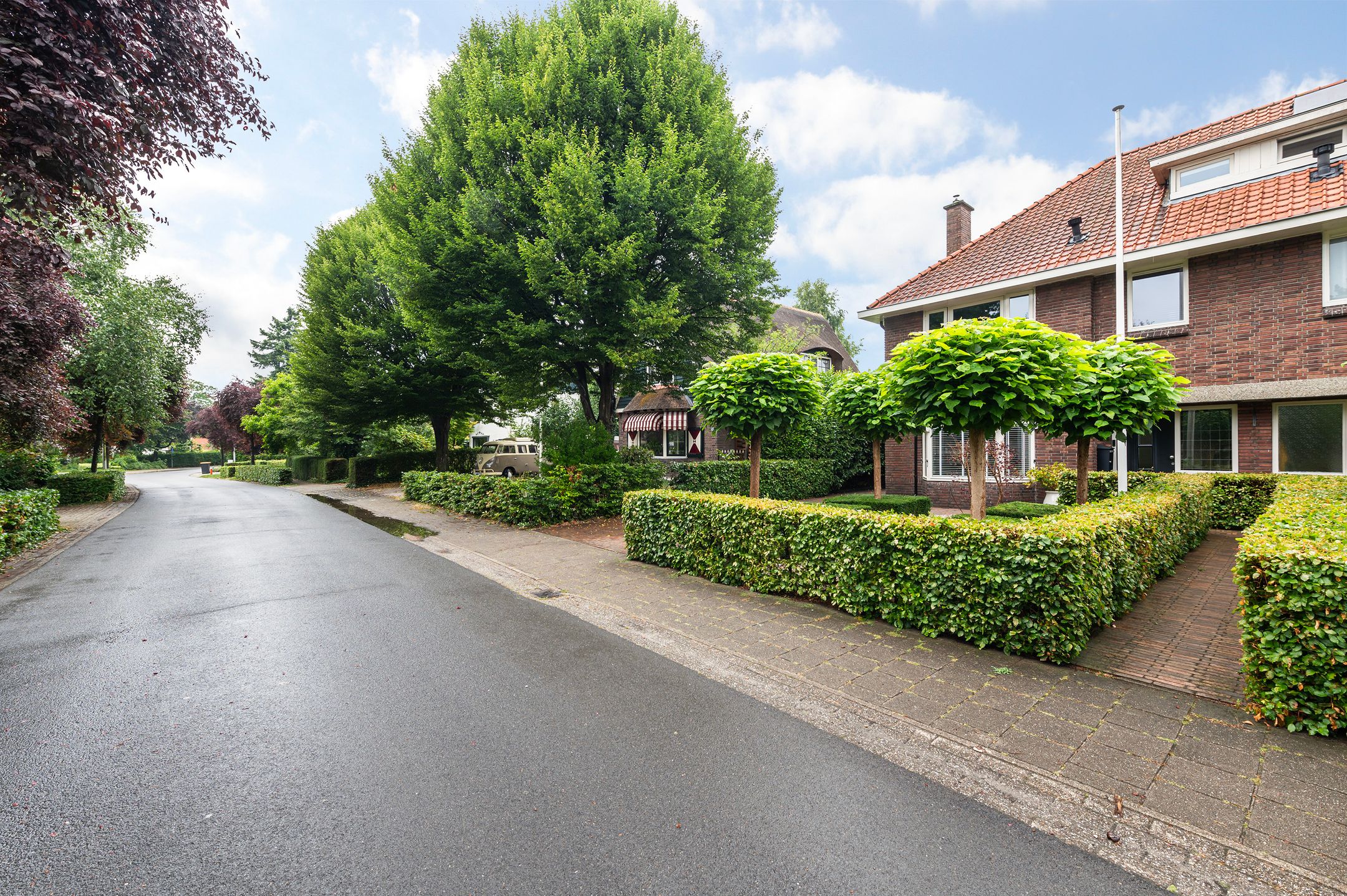 Photo 42 of Hemstea 19