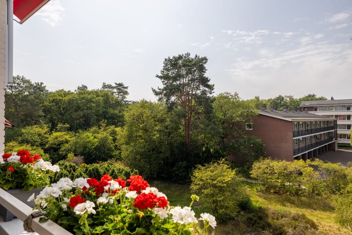 Photo 15 of Dorotheagaarde 60