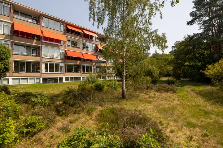 Photo 26 of Dorotheagaarde 60