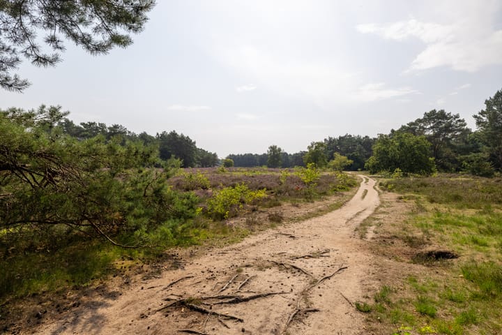 Photo 28 of Dorotheagaarde 60