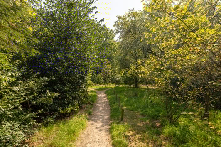 Photo 29 of Dorotheagaarde 60