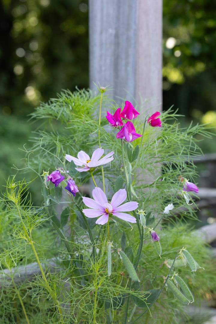 Foto 65 van Standerdlaan 19