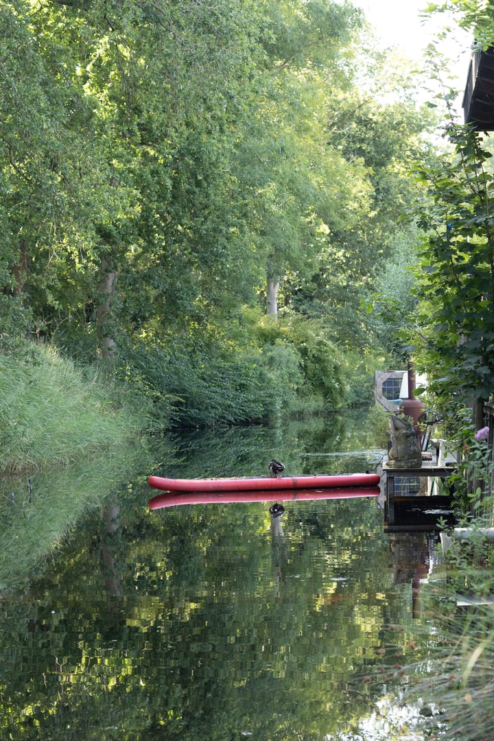 Foto 66 van Standerdlaan 19