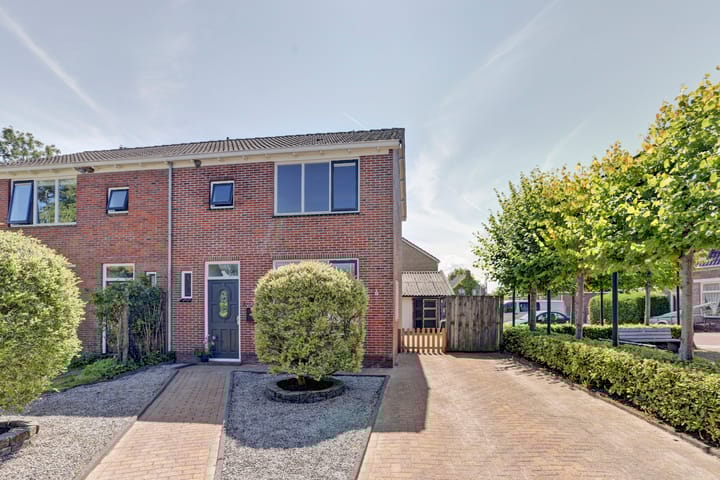 Foto 5 van It Roster 1