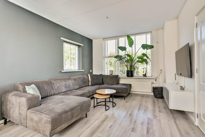 Foto 7 van It Roster 1