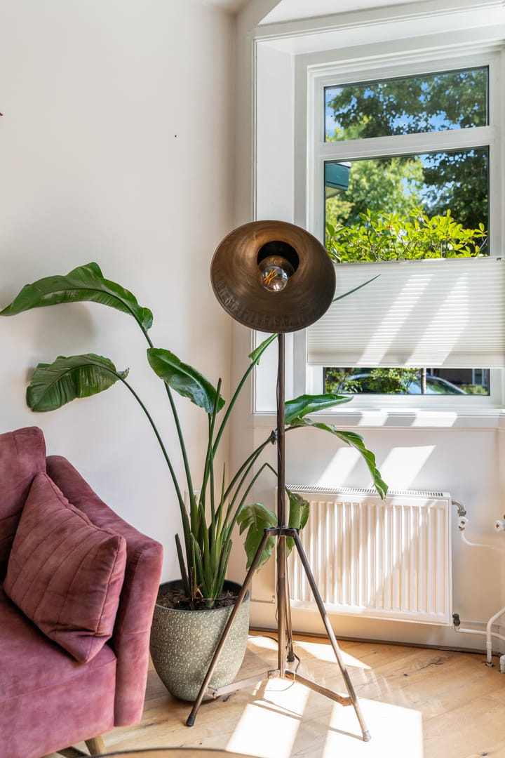 Foto 6 van Javalaan 19