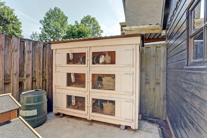 Foto 28 van It Roster 1