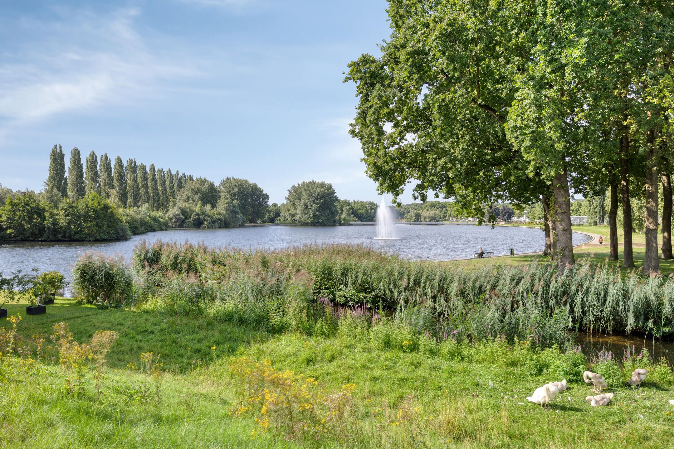 Photo 27 of Balans 3