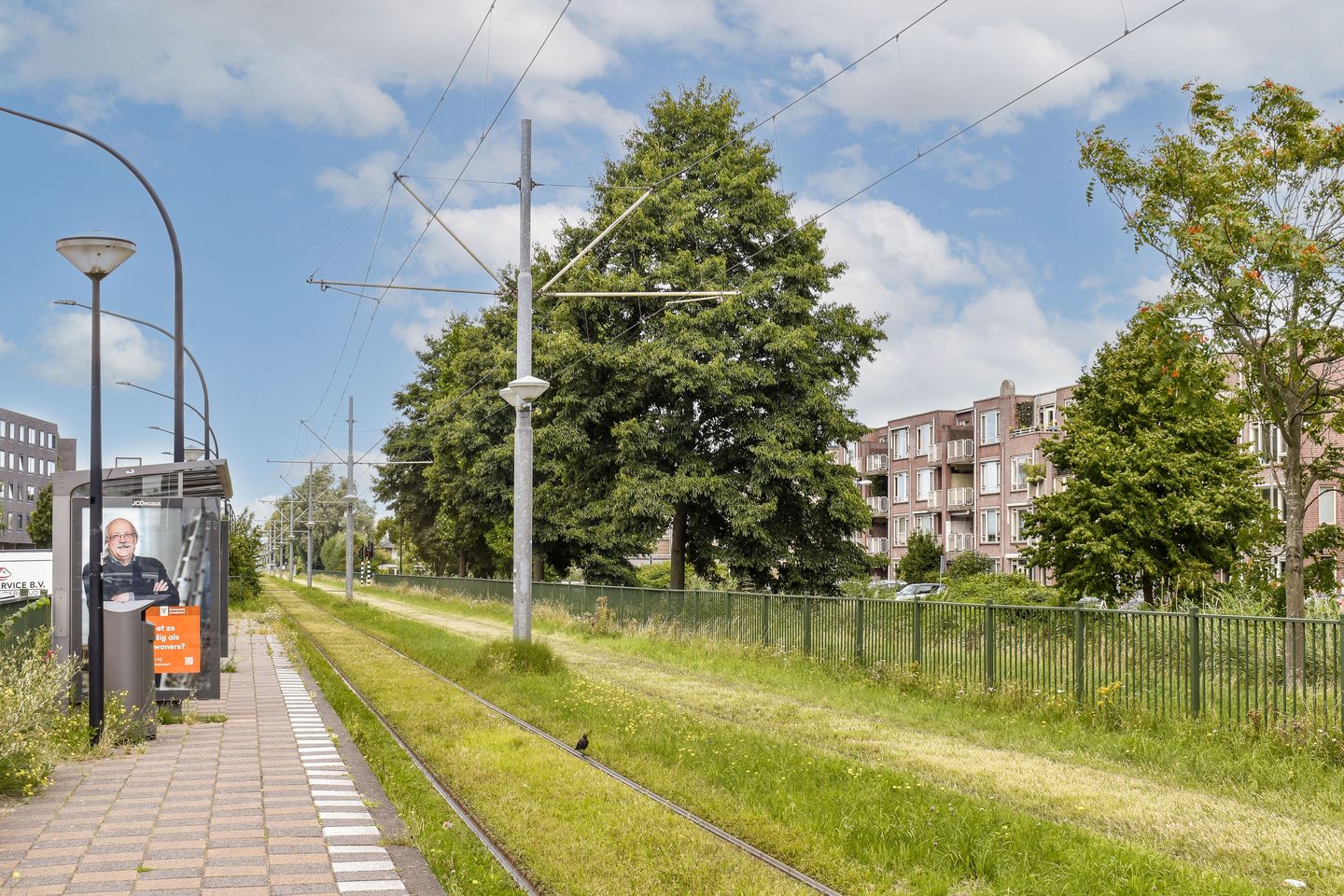 Photo 19 of Ernst Cahnsingel 40